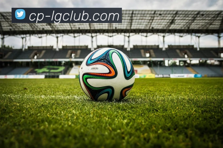 老哥俱乐部官网平台生态图