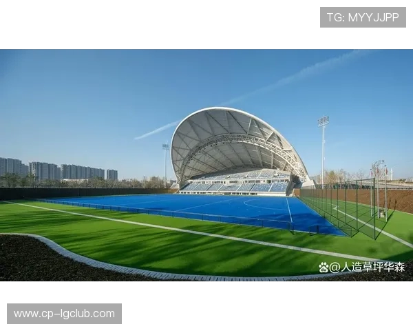 家庭专用室外足球场设计与建设全攻略 打造属于你的私人运动天地